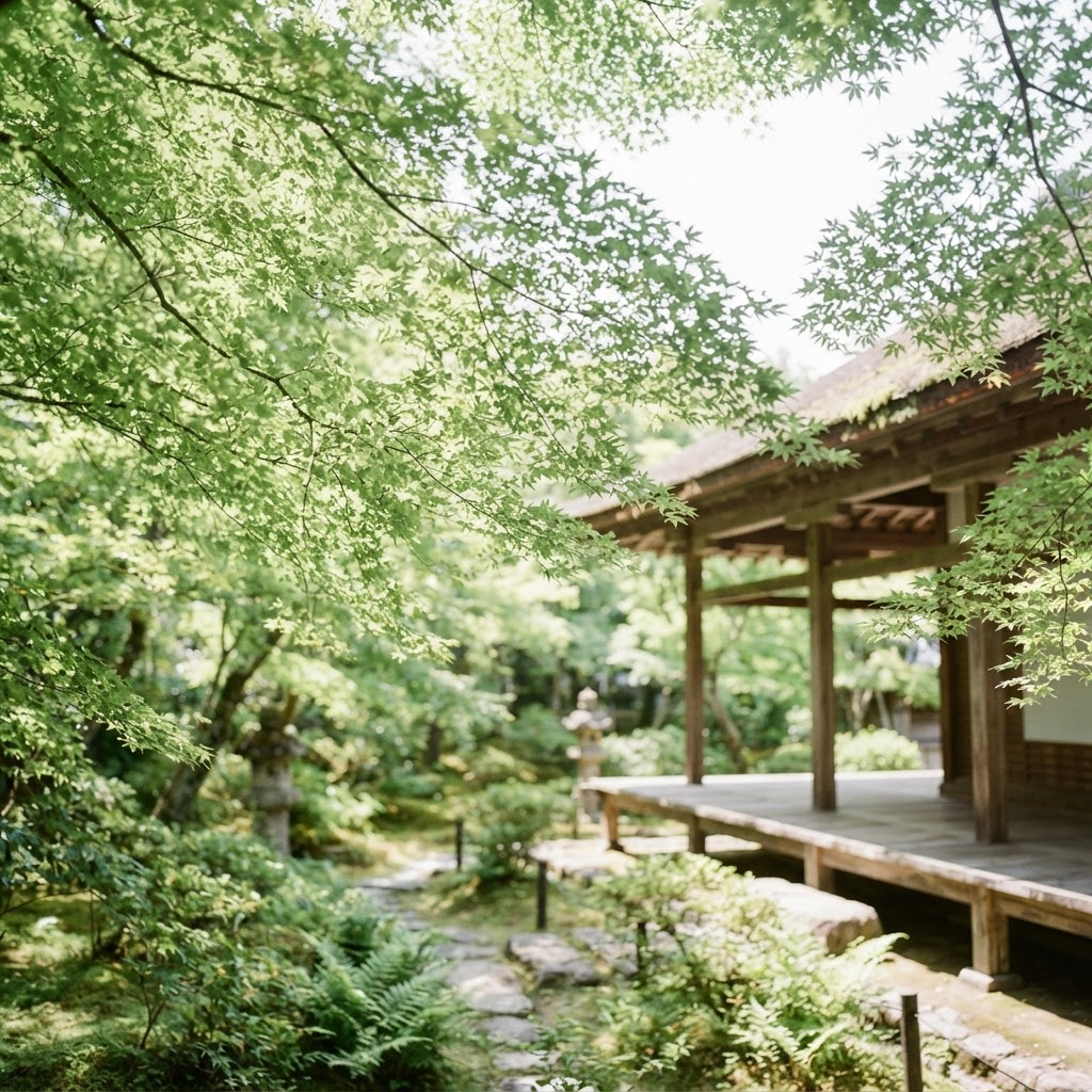 夏の晴れた日、木漏れ日が差し込むお寺の境内の青もみじ